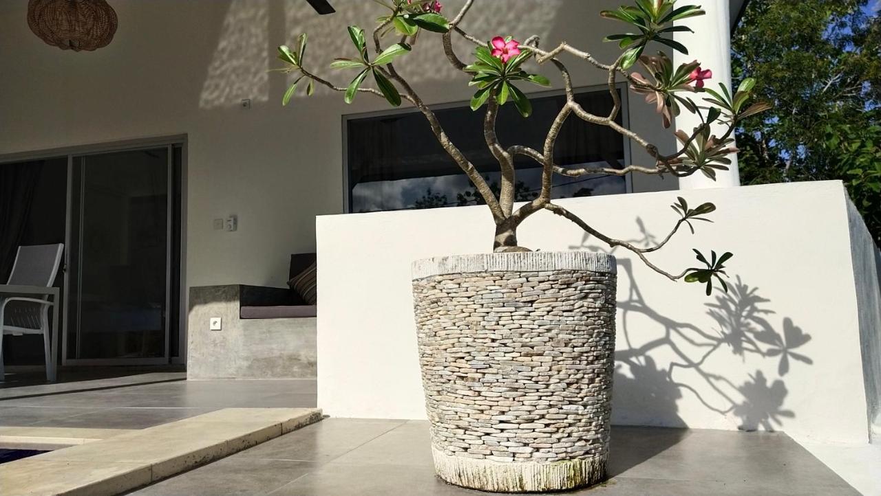 Villa Panoramic Toyapakeh ภายนอก รูปภาพ